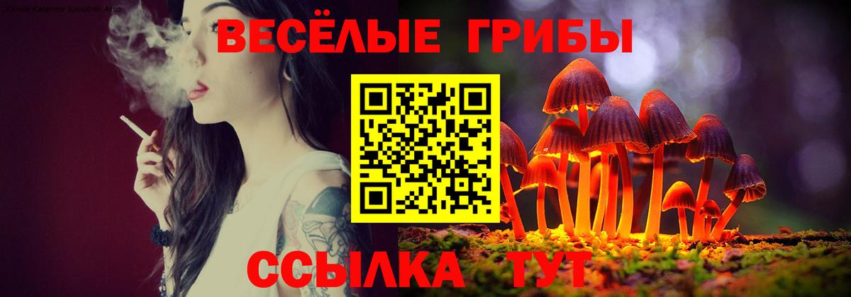 купить наркотики цена  Вход с VPN  Галлюциногенные грибы Psilocybe  Полевской  Псилоцибиновые грибы Cubensis 